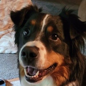 Meet your Posher, Posh